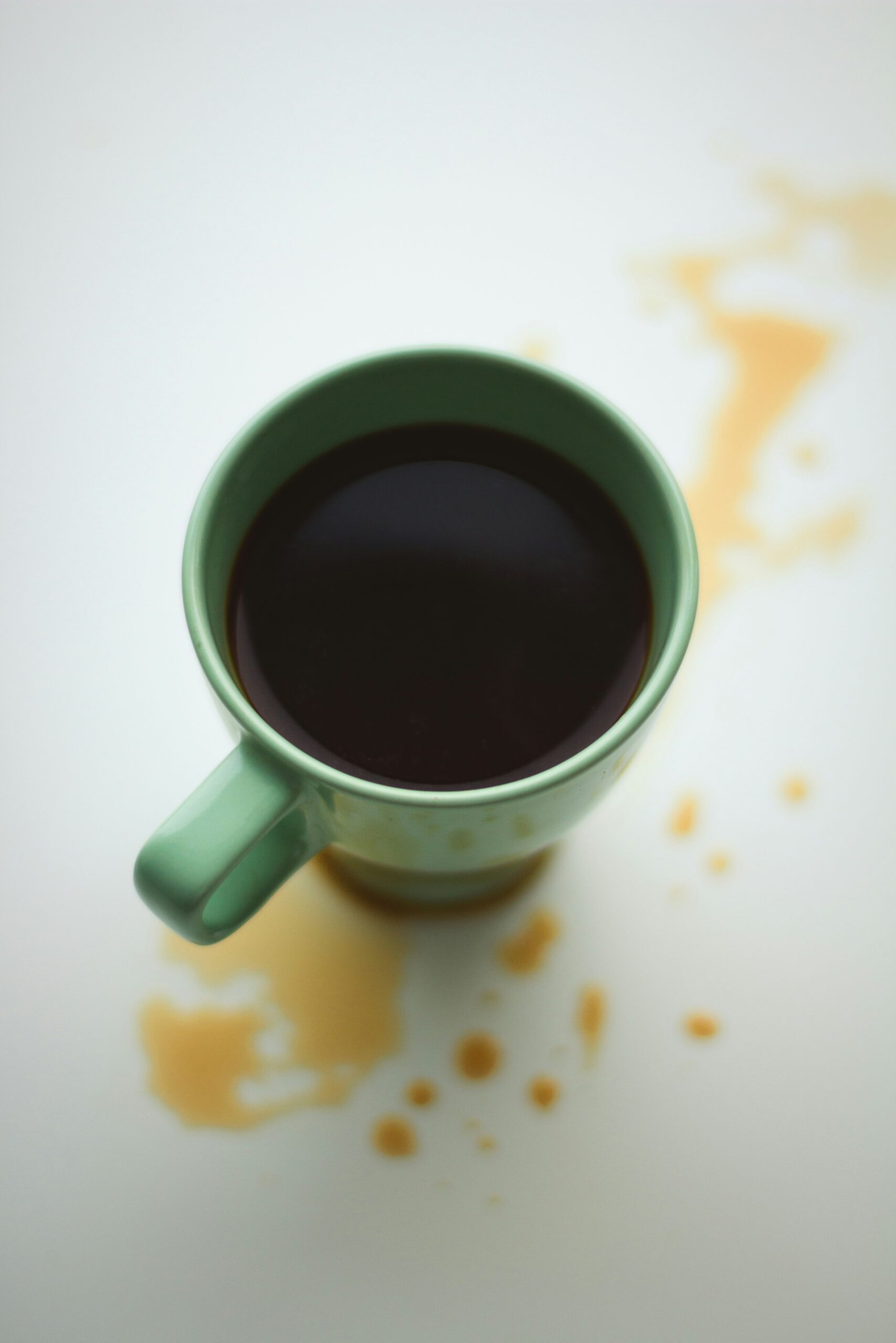 Quick Cleaning Solutions for Spills and Messes