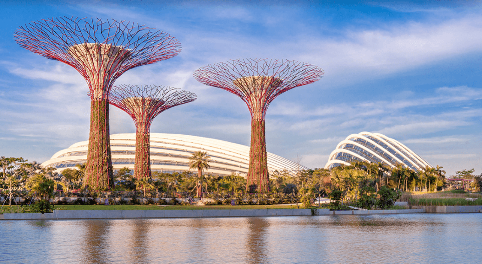 Personal Trainer Singapore