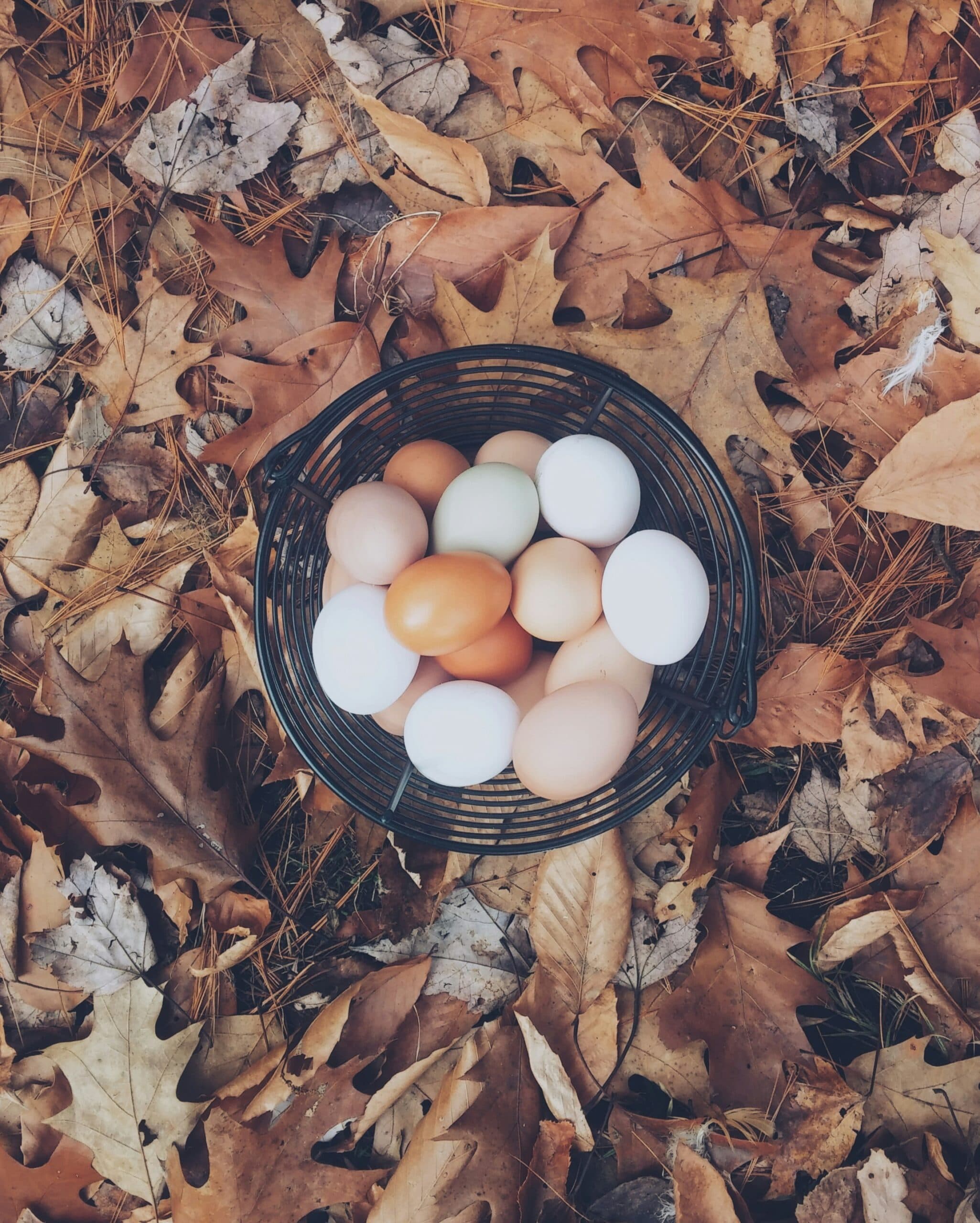 different kinds of eggs in a basket